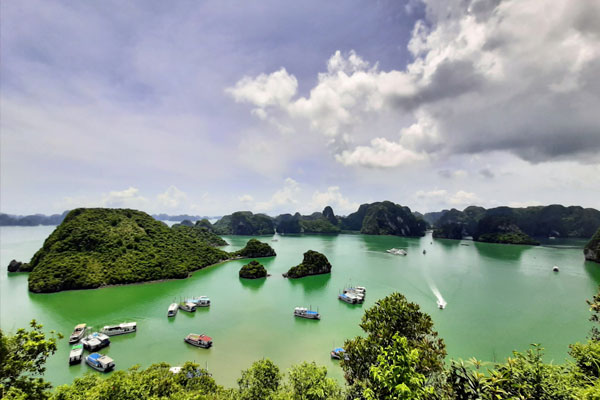 Ha Long Bay a once-in-a-lifetime destination: US publication