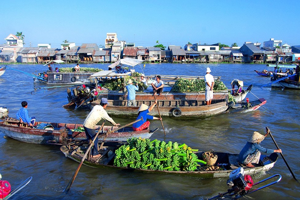 2-day Mekong Delta Tour